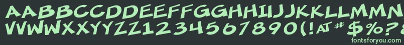 SF Minced Meat Extended Font – Green Fonts on Black Background