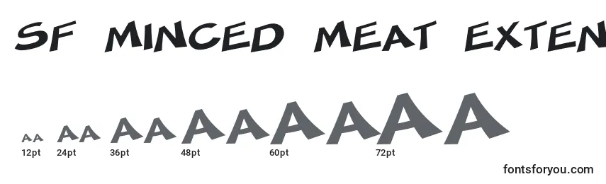 Размеры шрифта SF Minced Meat Extended