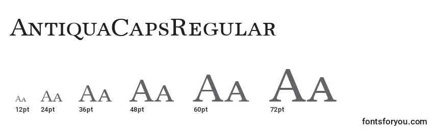 Размеры шрифта AntiquaCapsRegular