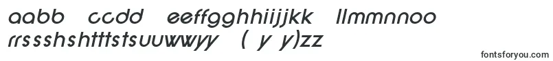フォントSF New Republic Bold Italic – ハウスフォント