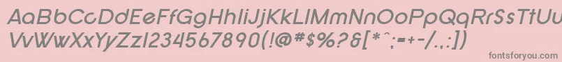 SF New Republic Bold Italic Font – Gray Fonts on Pink Background