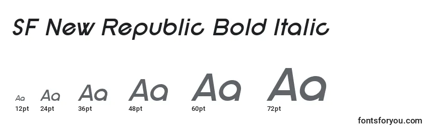 Размеры шрифта SF New Republic Bold Italic
