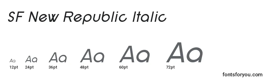 Размеры шрифта SF New Republic Italic