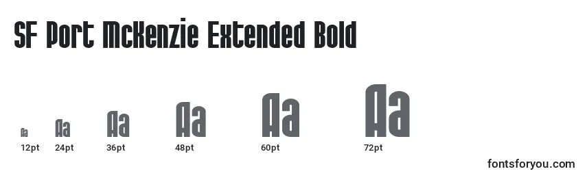 Размеры шрифта SF Port McKenzie Extended Bold