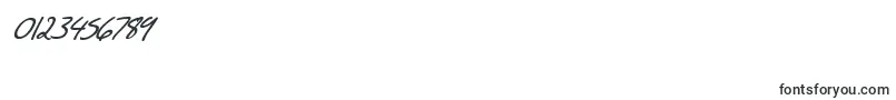 SF Scribbled Sans Bold Italic Font – Fonts for Numbers and Digits