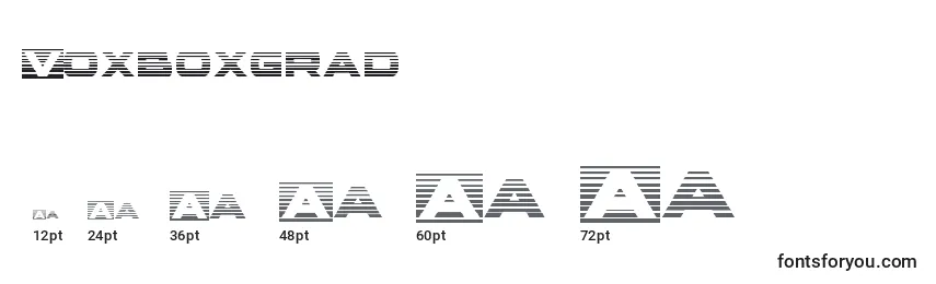 Voxboxgrad Font Sizes