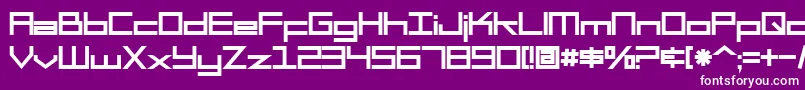 SF Square Head Bold-Schriftart – Weiße Schriften auf violettem Hintergrund
