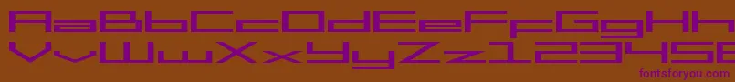 SF Square Head Extended-fontti – violetit fontit ruskealla taustalla