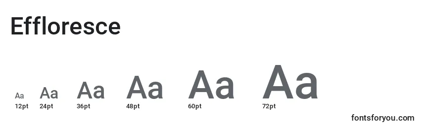 Effloresce Font Sizes