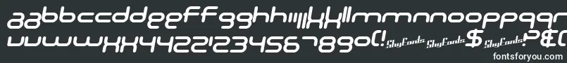SF Technodelight NS Bold Italic-Schriftart – Weiße Schriften auf schwarzem Hintergrund