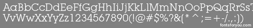 LubalinGraphBookBt Font – White Fonts on Gray Background