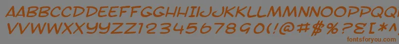 SF Toontime Extended Italic Font – Brown Fonts on Gray Background
