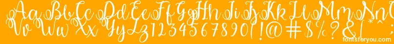 shabila Font – White Fonts on Orange Background