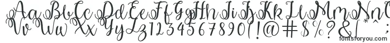 shabila-fontti – Seksikkäät fontit