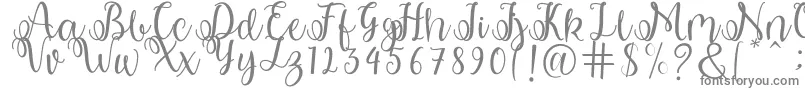 shabila Font – Gray Fonts on White Background