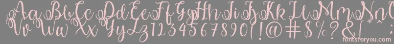 shabila Font – Pink Fonts on Gray Background