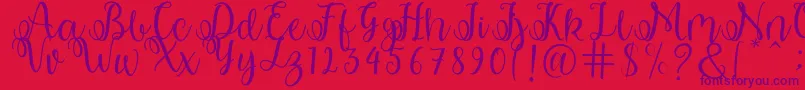 shabila Font – Purple Fonts on Red Background