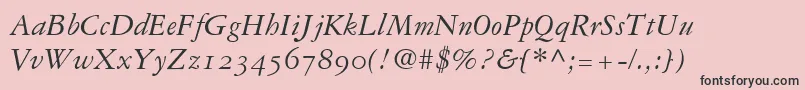 GaramondRepriseOldstyleSsiNormal Font – Black Fonts on Pink Background