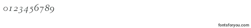 GaramondRepriseOldstyleSsiNormal-Schriftart – Schriften für Zahlen und Nummern