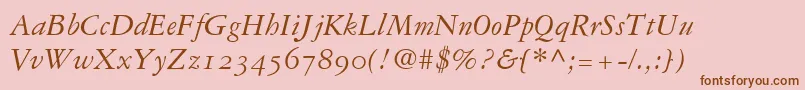 GaramondRepriseOldstyleSsiNormal Font – Brown Fonts on Pink Background