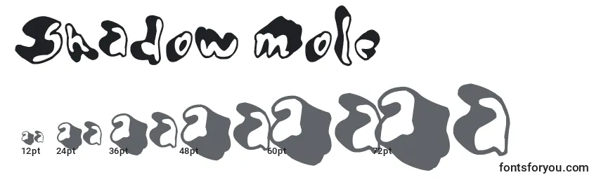 Размеры шрифта Shadow Mole