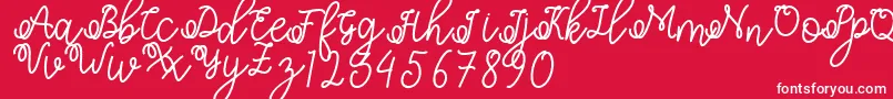 Shafiyyah Font – White Fonts on Red Background