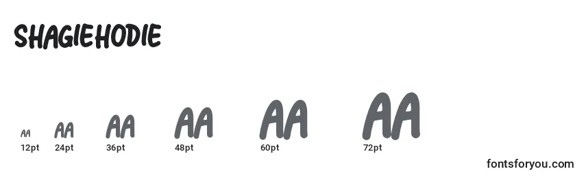 ShagieHodie Font Sizes