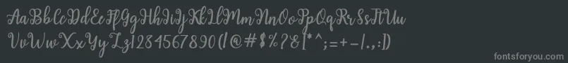 Shaila Script Font – Gray Fonts on Black Background