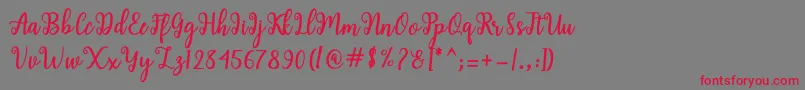 Shaila Script Font – Red Fonts on Gray Background