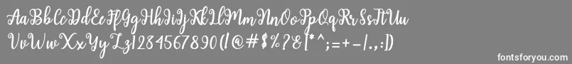 Police Shaila Script – polices blanches sur fond gris