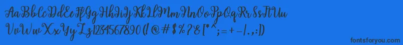 Shaila Script Font – Black Fonts on Blue Background