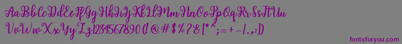 Shaila Script Font – Purple Fonts on Gray Background