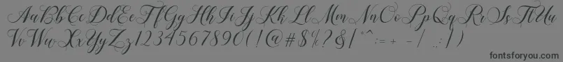 Shailena Font – Black Fonts on Gray Background