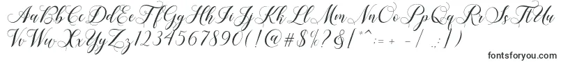Shailena Font – Cute Fonts