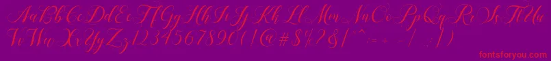 Shailena Font – Red Fonts on Purple Background