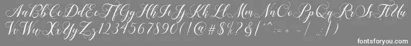 Shailena Font – White Fonts on Gray Background