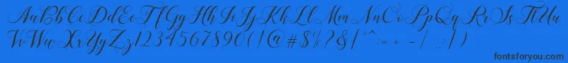 Shailena-Schriftart – Schwarze Schriften auf blauem Hintergrund