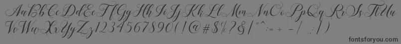 Shailena Font – Black Fonts on Gray Background