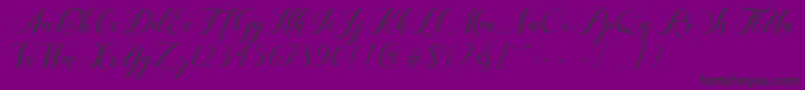 フォントShailena – 紫の背景に黒い文字
