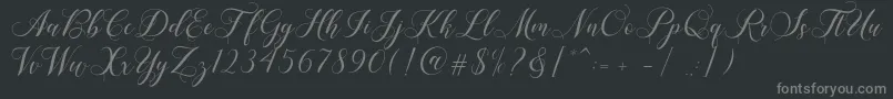 Shailena Font – Gray Fonts on Black Background