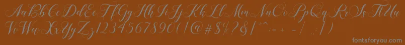 Shailena-fontti – harmaat kirjasimet ruskealla taustalla