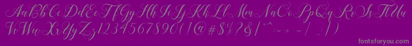 Shailena Font – Gray Fonts on Purple Background