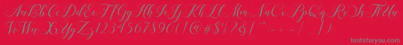 Shailena Font – Gray Fonts on Red Background