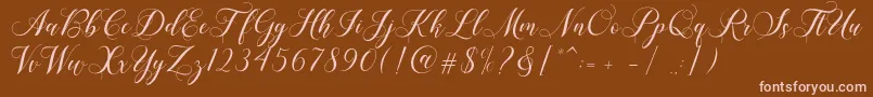 Shailena-Schriftart – Rosa Schriften auf braunem Hintergrund