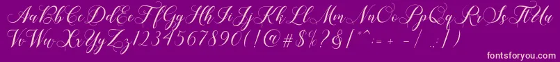 Shailena-Schriftart – Rosa Schriften auf violettem Hintergrund