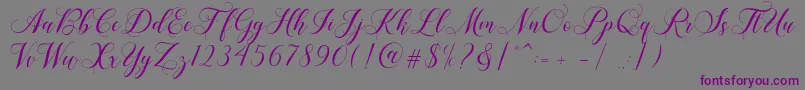 Shailena Font – Purple Fonts on Gray Background