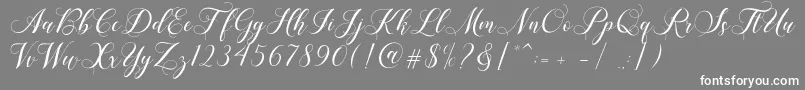 Shailena-Schriftart – Weiße Schriften auf grauem Hintergrund