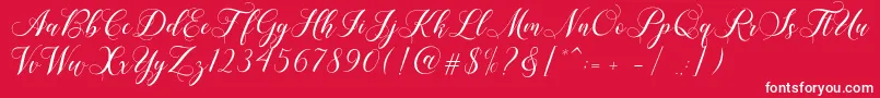 Shailena Font – White Fonts on Red Background