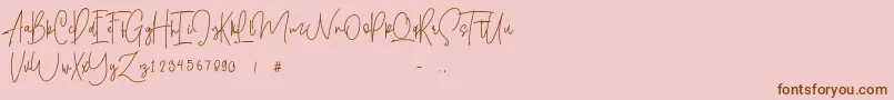 Shallamander  Demo  Font – Brown Fonts on Pink Background