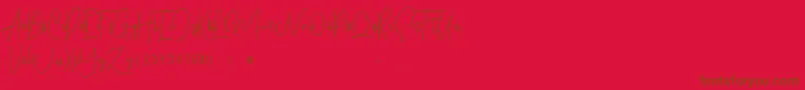 Shallamander  Demo  Font – Brown Fonts on Red Background